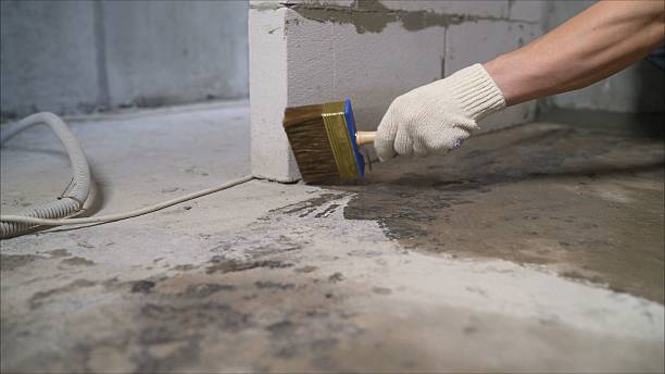 SJ Waterproofing Pros Emergency Waterproofing coverage map for Kodak, TN and surrounding area